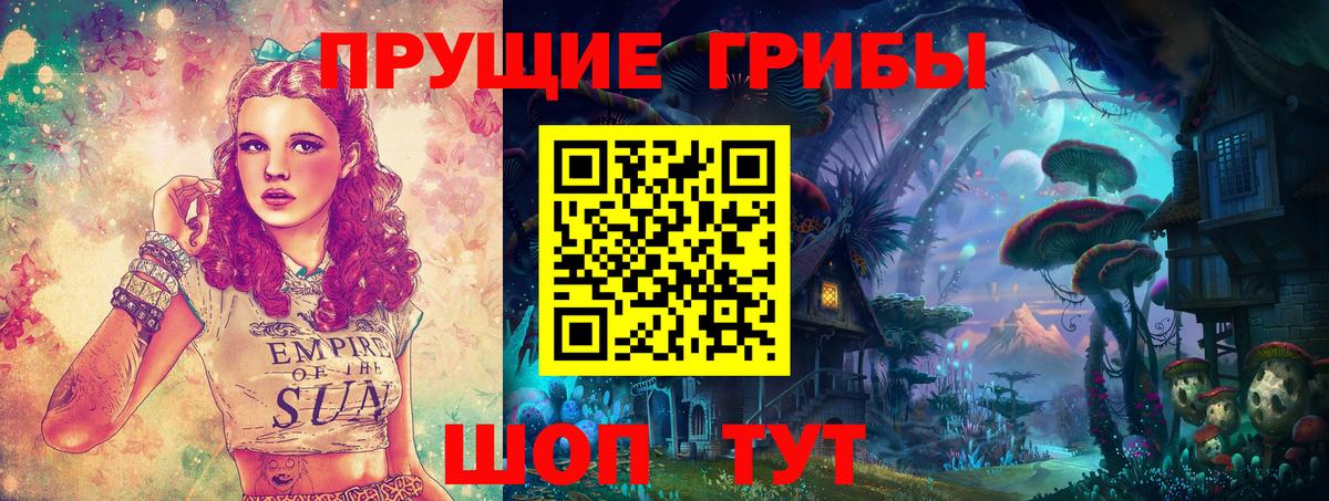 Галлюциногенные грибы Psilocybine cubensis  Вход с VPN  закладки  Димитровград 